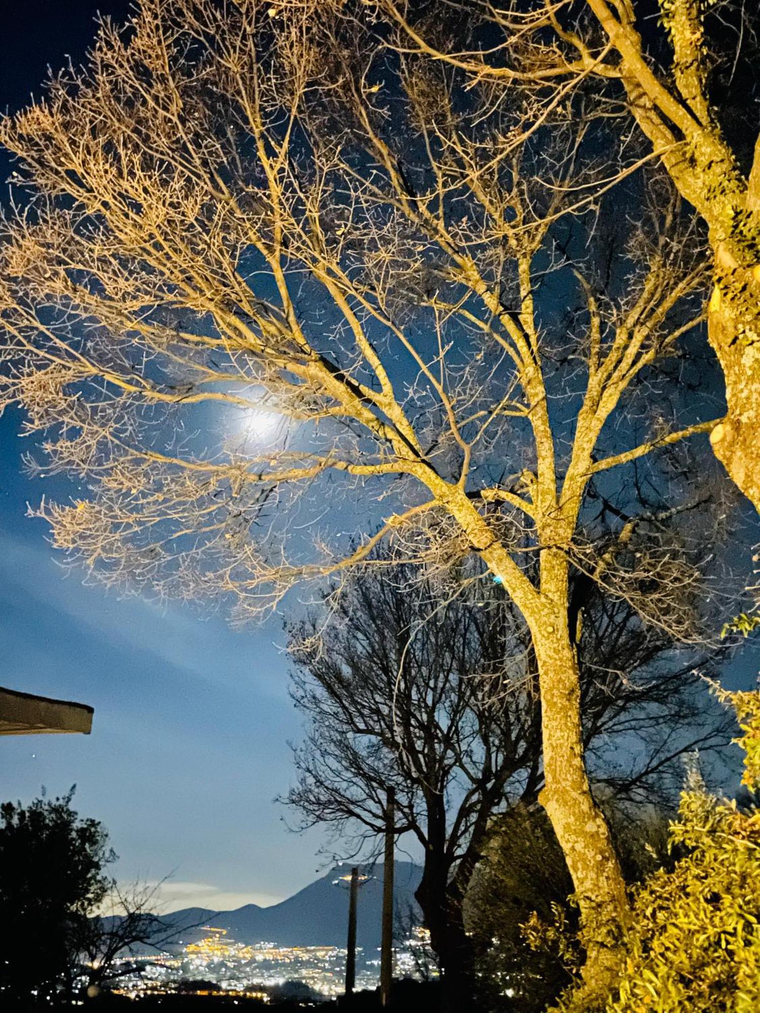 Villa Mandetta B&B Santo Stefano del Sole Dış mekan fotoğraf
