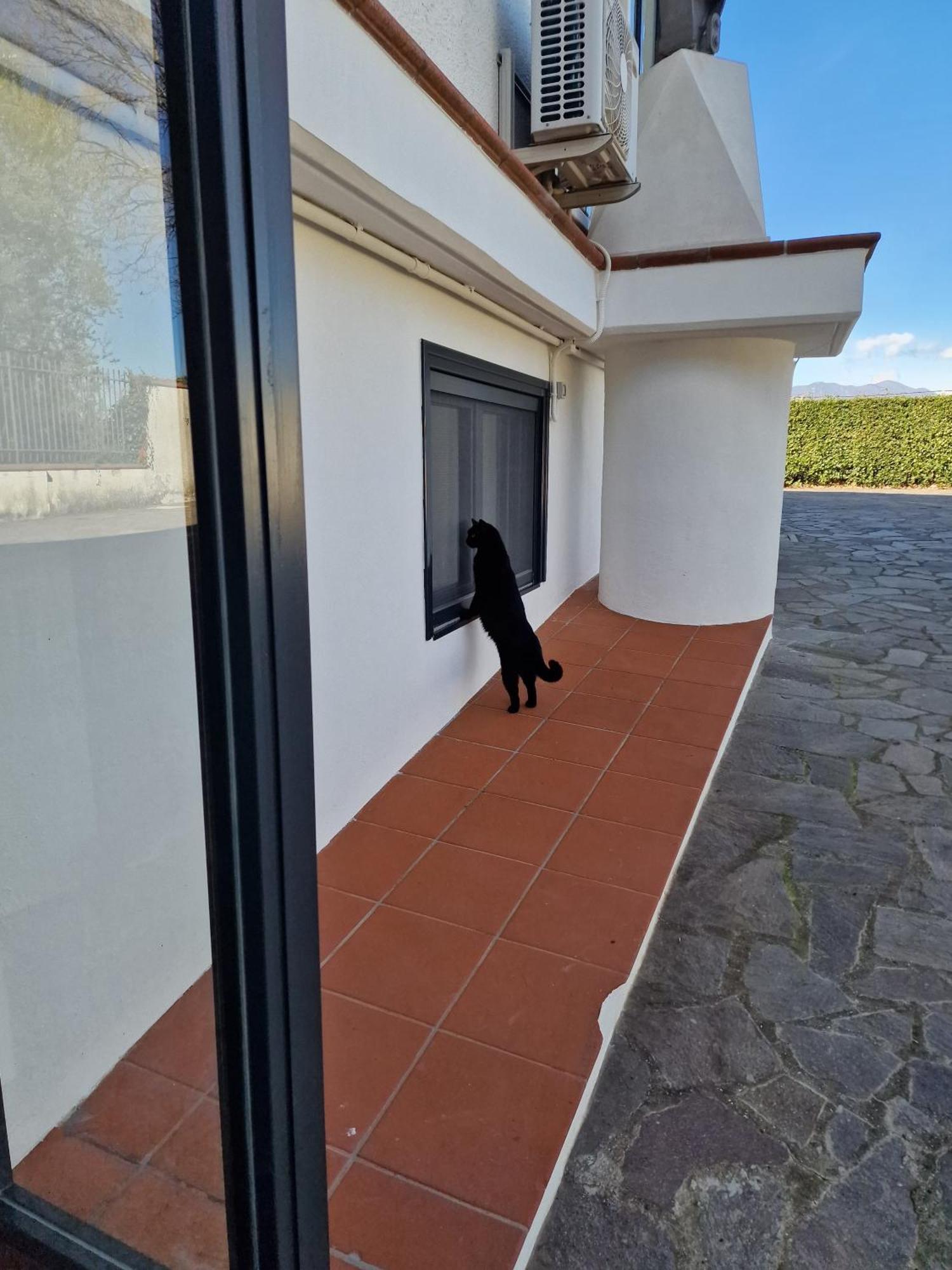 Villa Mandetta B&B Santo Stefano del Sole Dış mekan fotoğraf